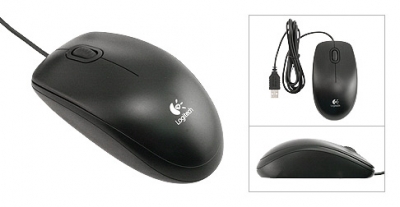 large2 mouse b100 2